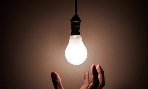 person holding white light bulb
