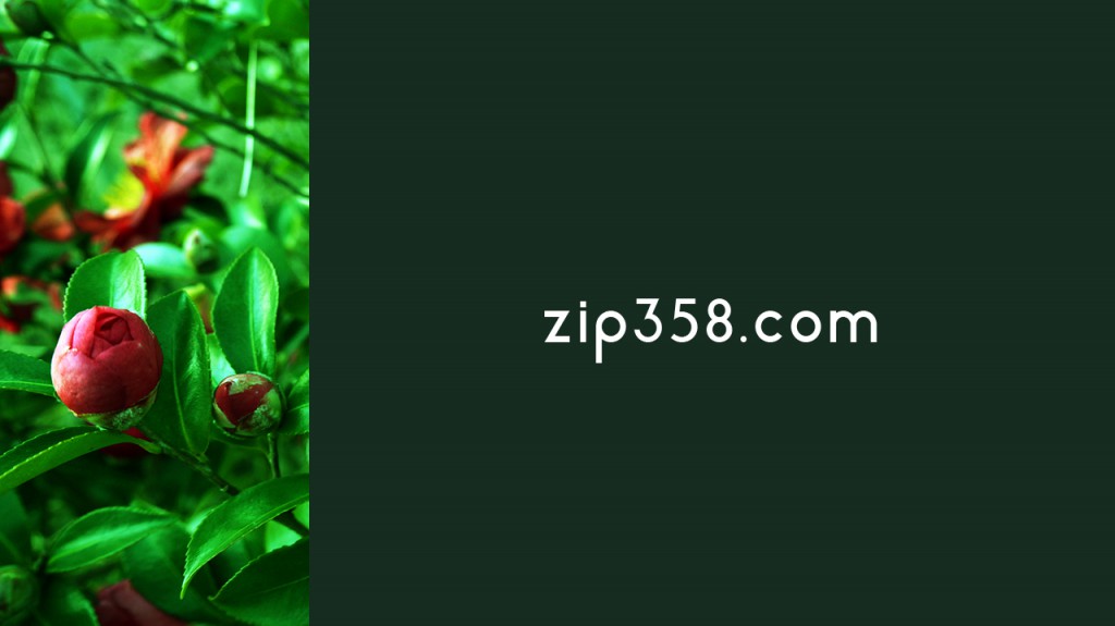 P1050132