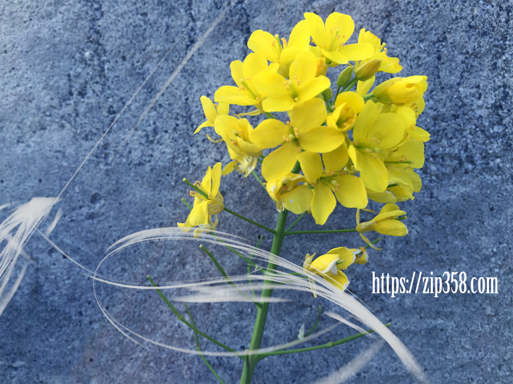2016-02-28 16.32.27