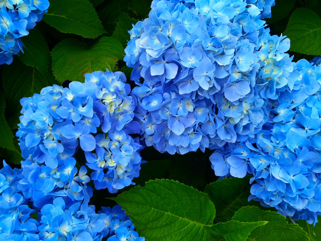 2016-05-30 15.53.16