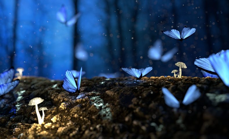 close up photo of glowing blue butterflies