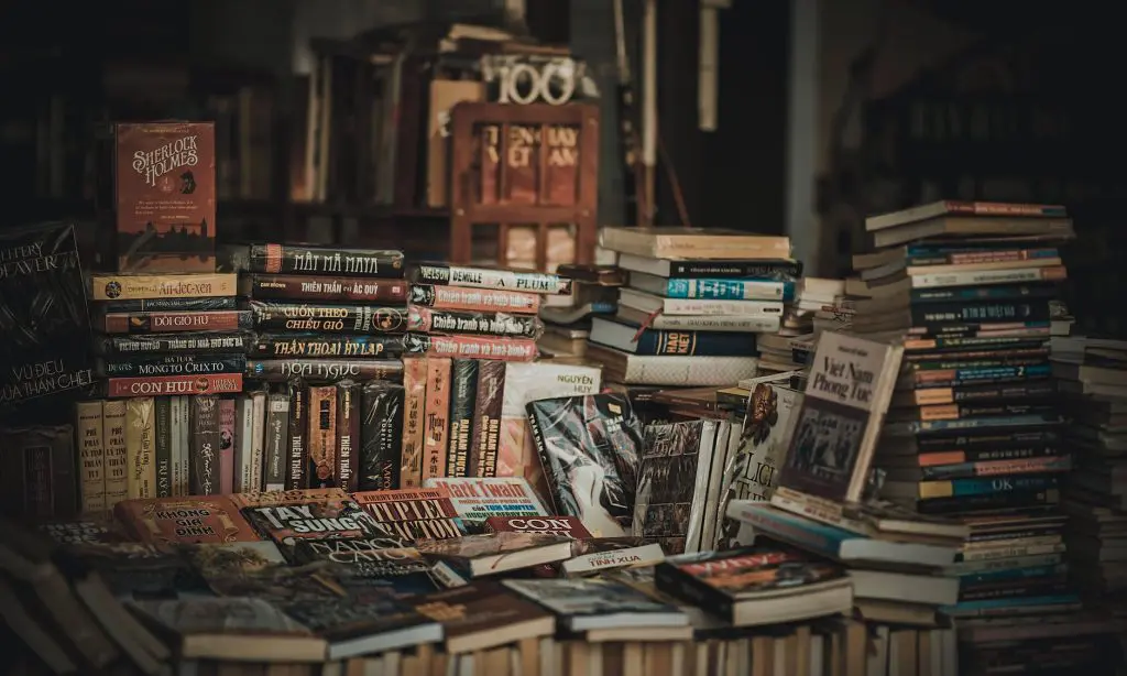 pile of assorted novel books