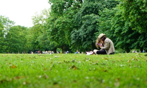 people sitting on green grass field